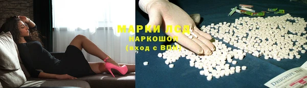 сатива Бородино