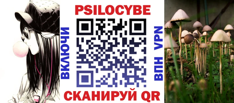 kraken как зайти  Дубовка  Псилоцибиновые грибы Psilocybine cubensis  даркнет сайт 